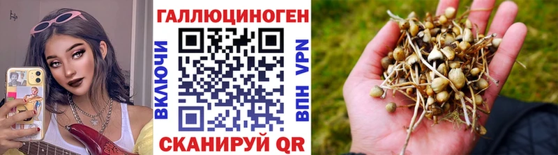 купить наркотики сайты  Нижний Ломов  Псилоцибиновые грибы Psilocybe 